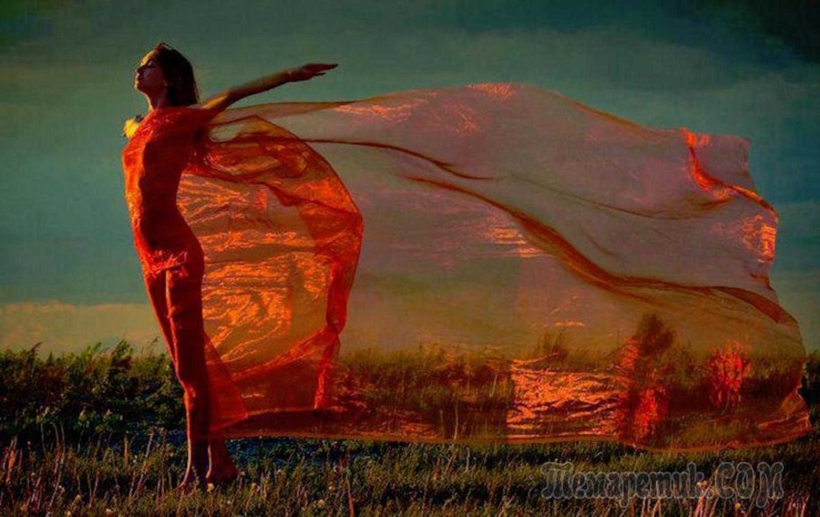 Библиотека корень