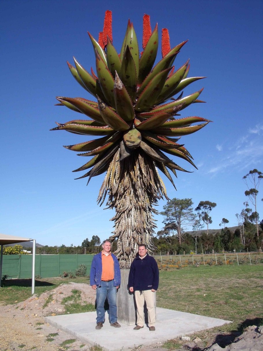 Жозефина Уолл Древо жизни