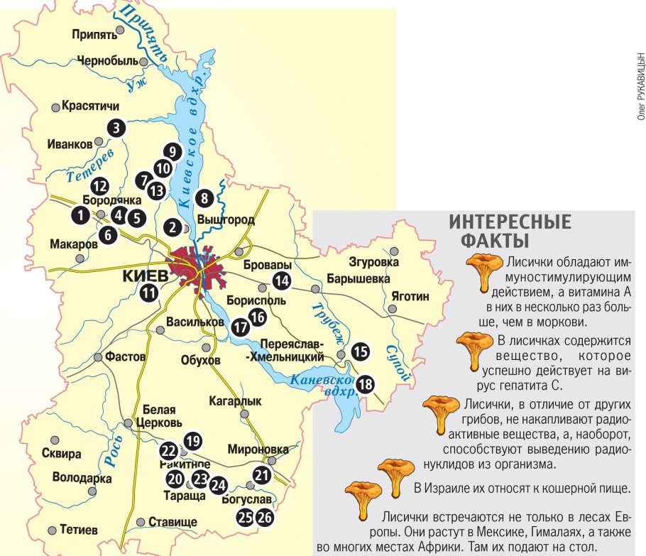 Грибные места в Ростовской области