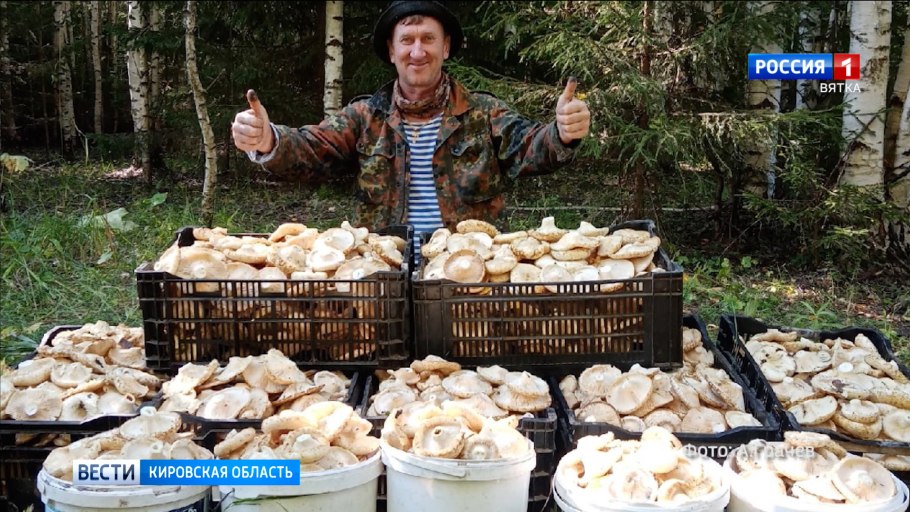 Грузди в Челябинской области