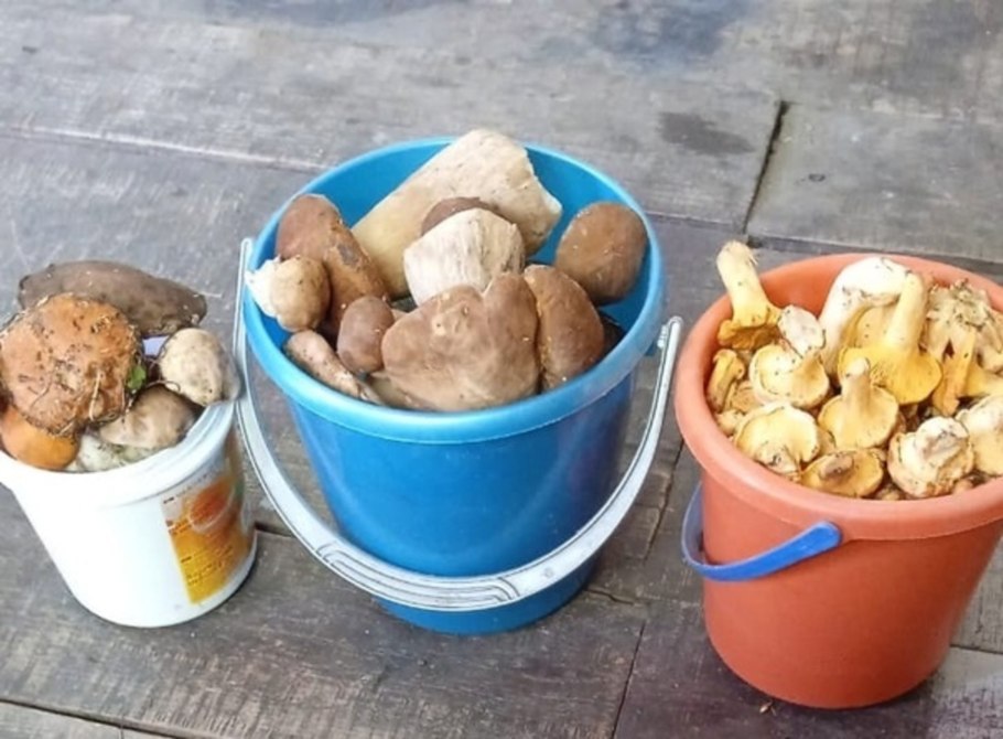 Районы Могилёвской области