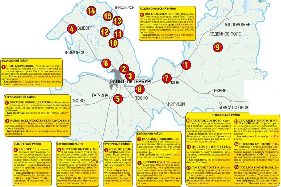 Карта грибных мест Подмосковья