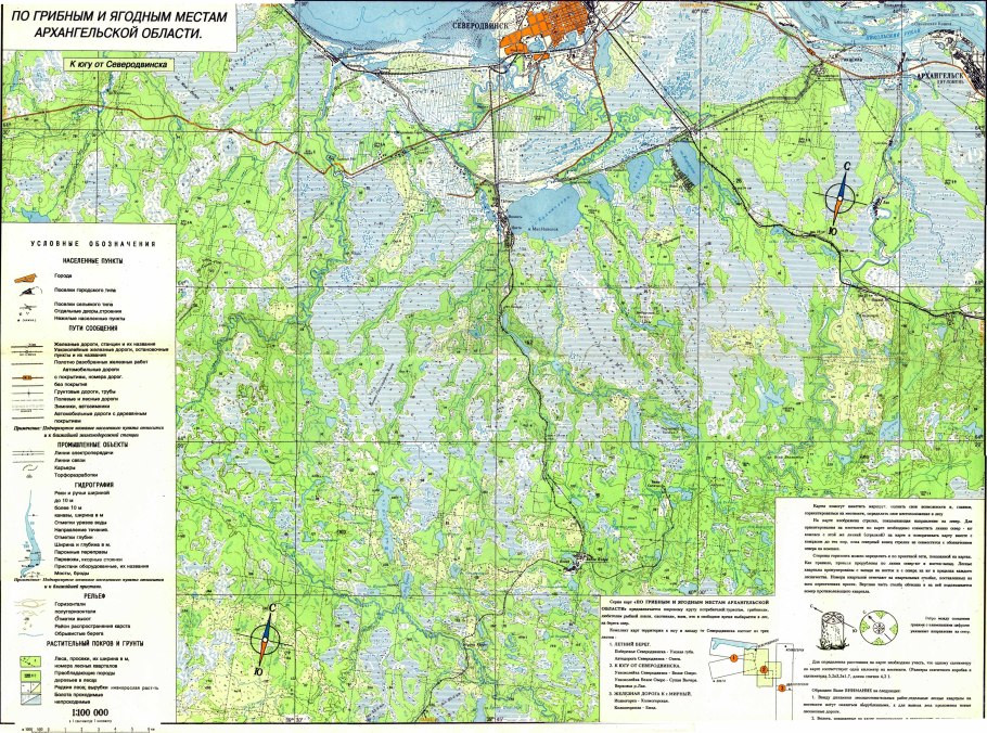 Грибы в Сосновом Бору Ленинградской области 2020