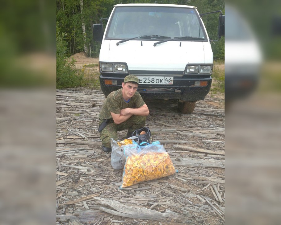 Опята Астрахань