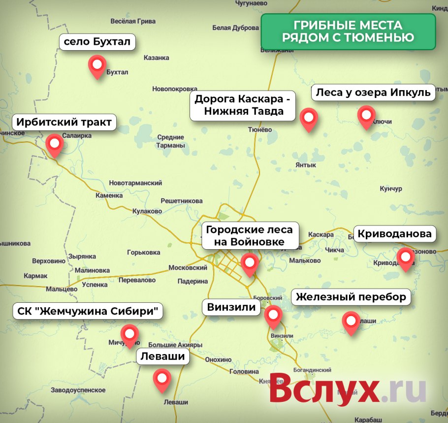 Карта грибов Подмосковья 2021