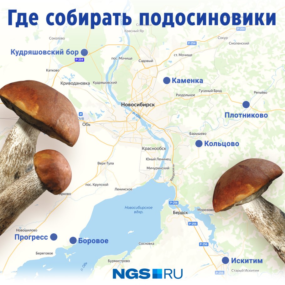 Топографическая карта Архангельска Вологодской области