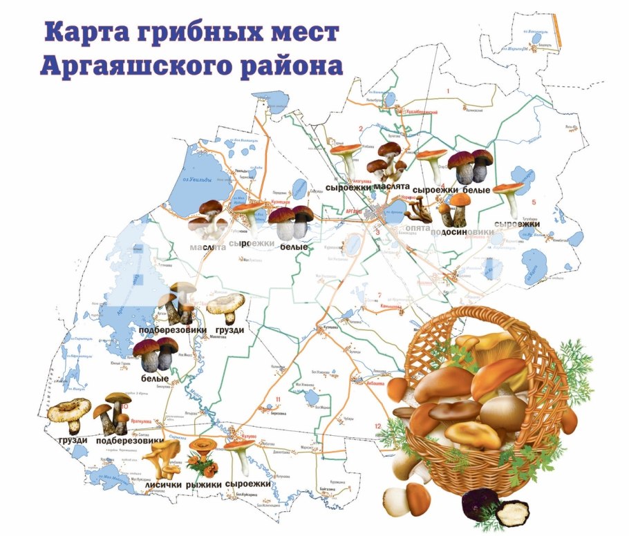 Карта грибных мест Челябинской области 2022