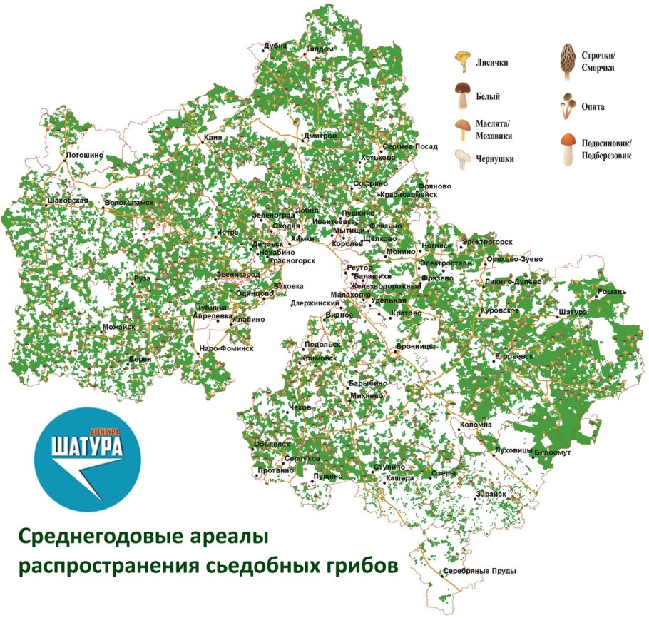 Грибы и грибники Калининградской области
