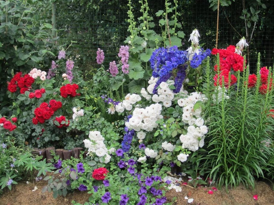 Компаньоны для дельфиниума