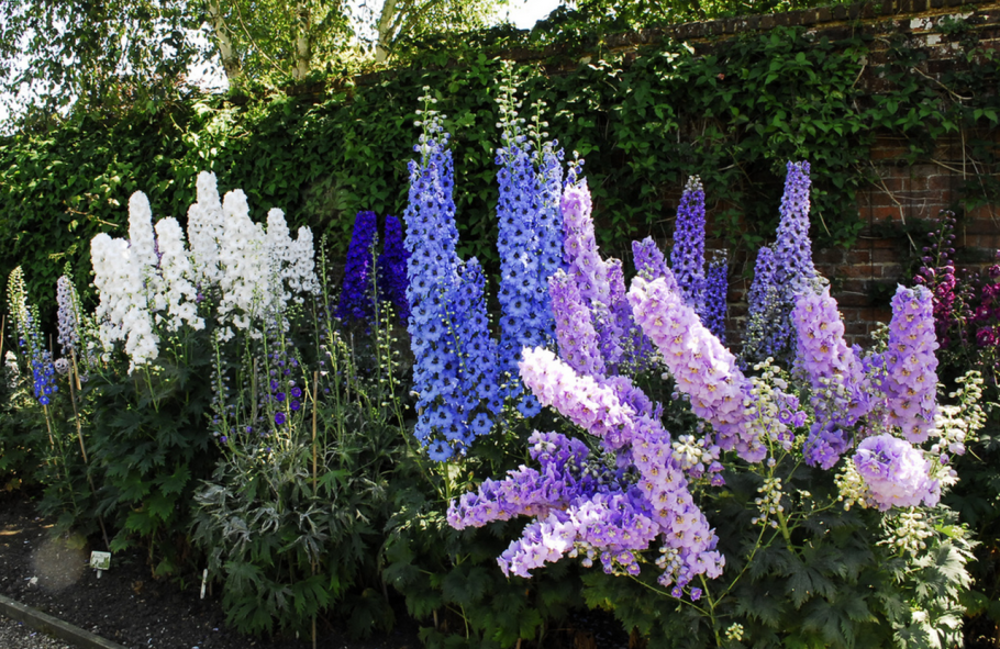 Букет цветов фото