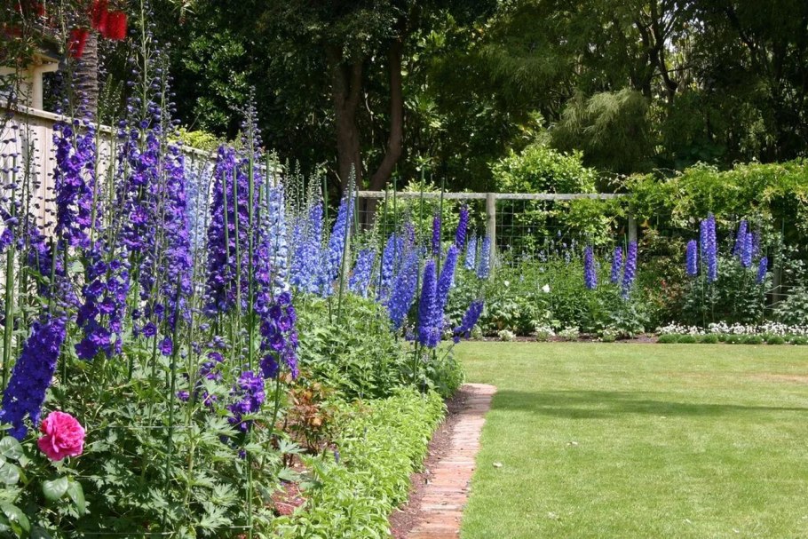 Дельфиниум белый букет