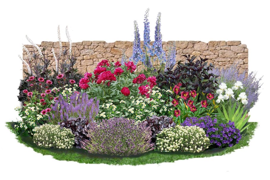 Клумба дельфиниум эустома