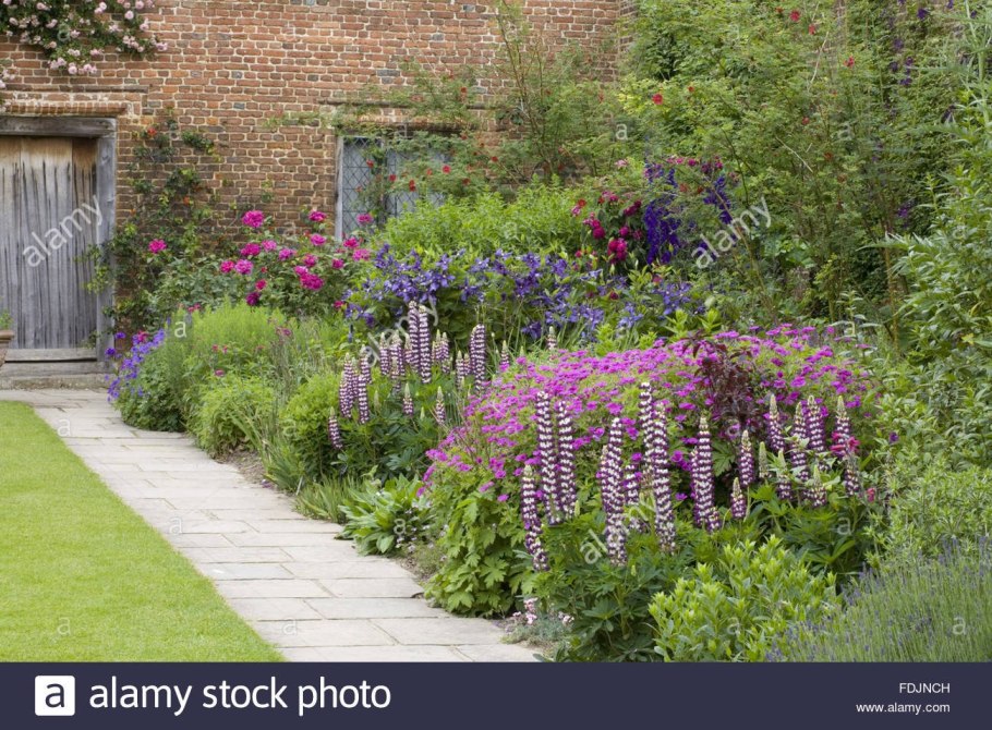 Дельфиниум многолетний гиацинтовый семена