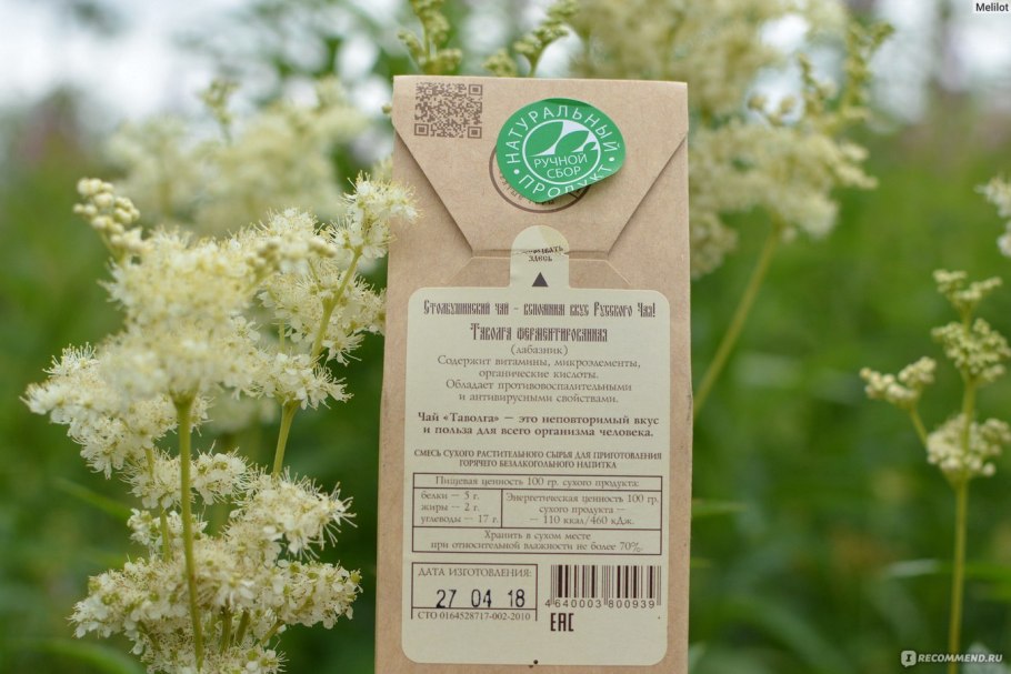 Таволга описание растения