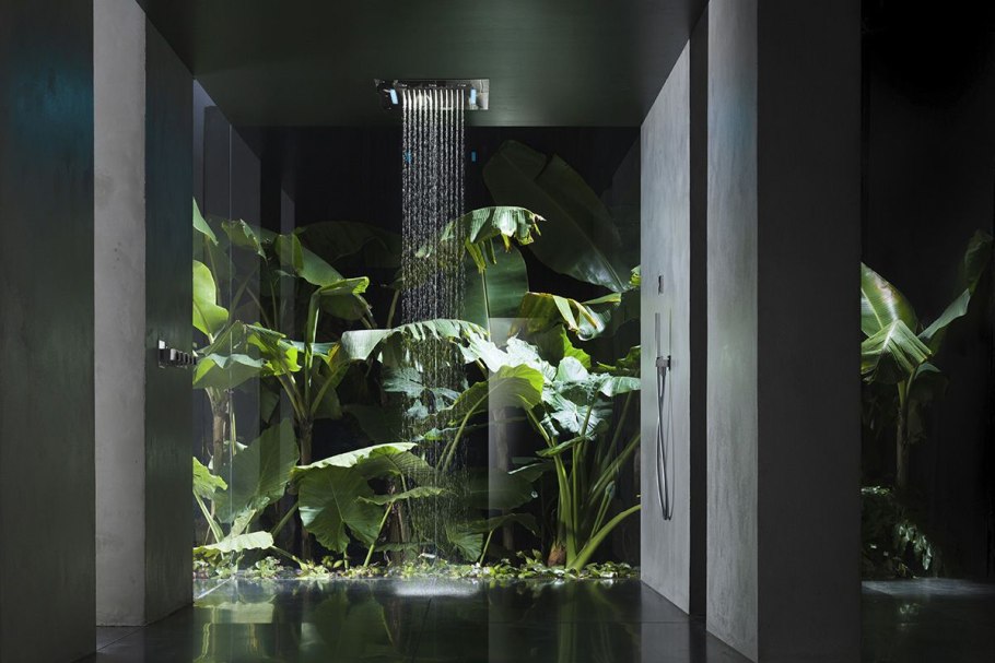 Растения за стеклом в интерьере