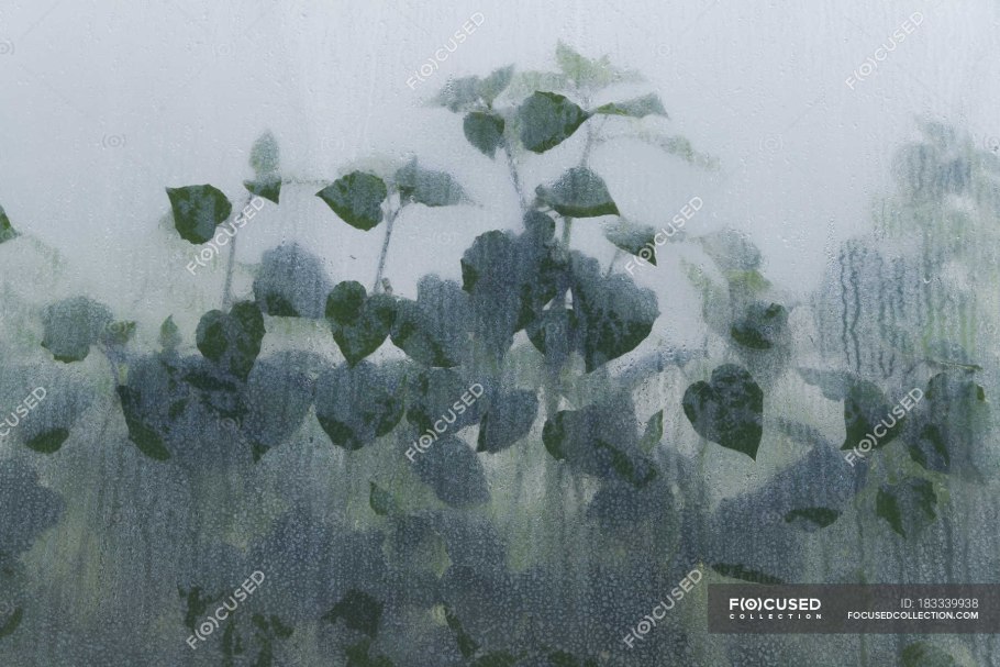 Матовое стекло с зеленью