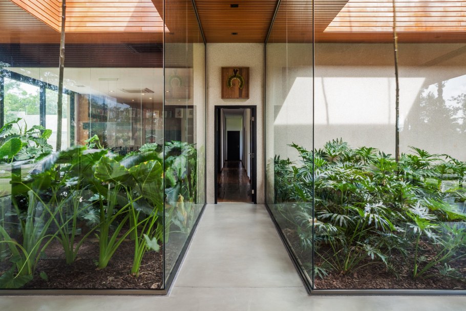 Растения за стеклом в интерьере
