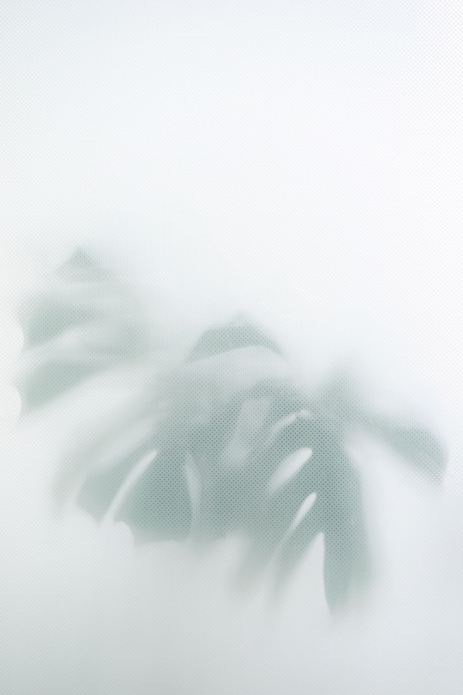 Листья за стеклом