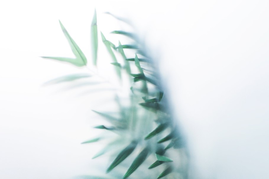 Листья за стеклом