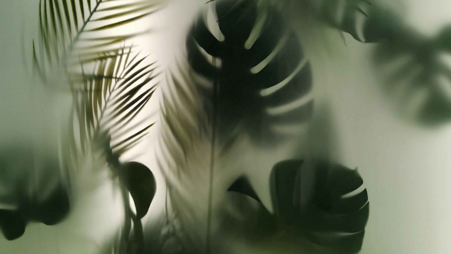 Фотообои листья за стеклом