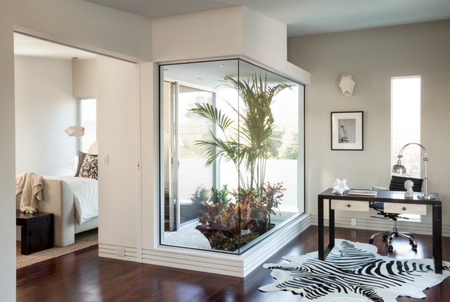 Растения за стеклом в интерьере