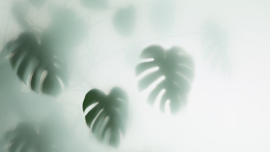 Тропические листья за матовым стеклом