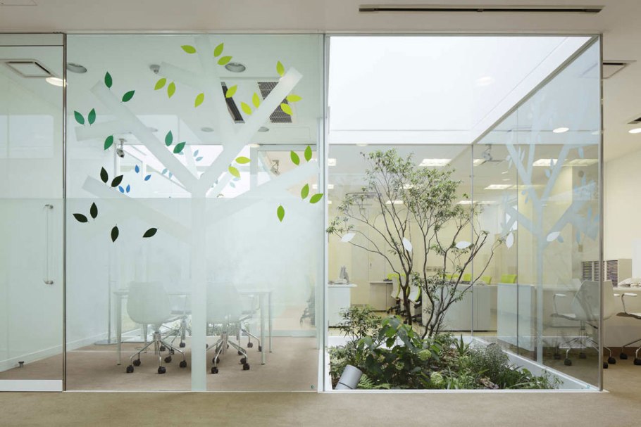 Стеклянная перегородка с растениями