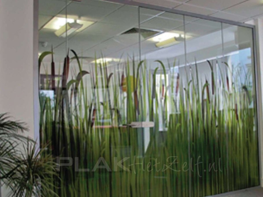 Стеклянные перегородки с фотопечатью