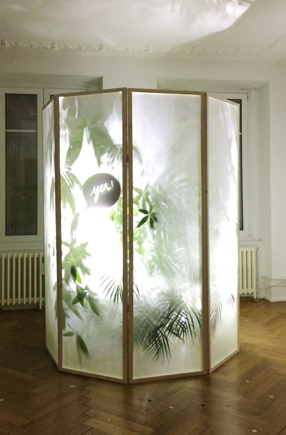 Растения за матовым стеклом в интерьере