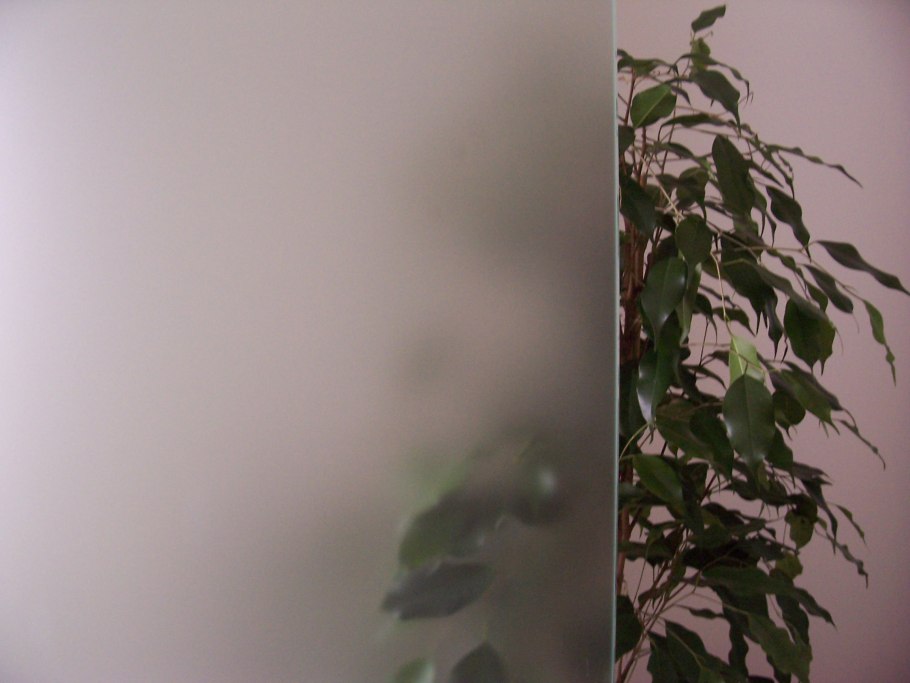 Фотообои растения за матовым стеклом