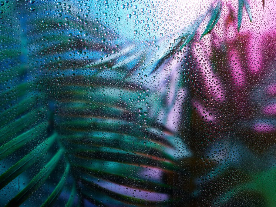 Тропические листья за стеклом