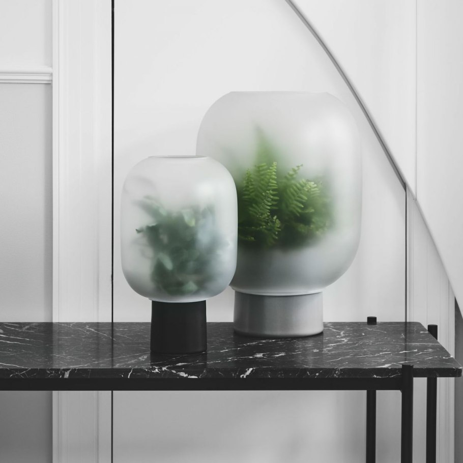 Растения за стеклом