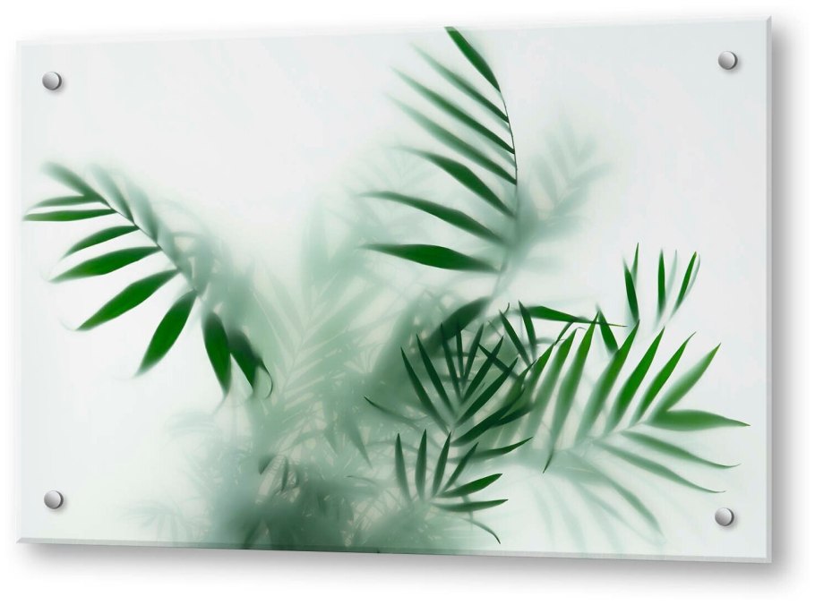 Листья за стеклом