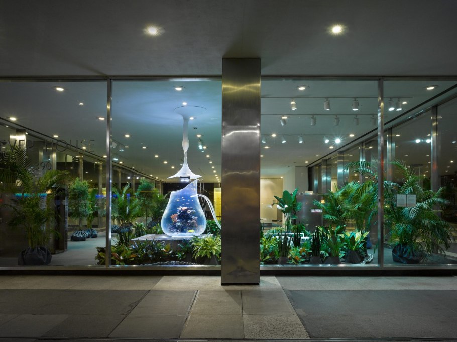 Зелень за стеклом с подсветкой