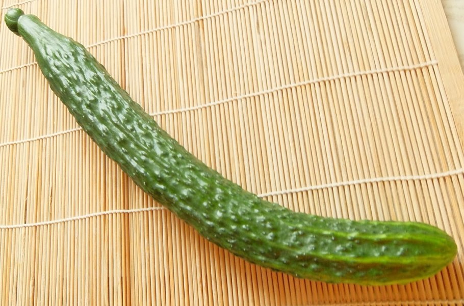 Огурец сорт Зира