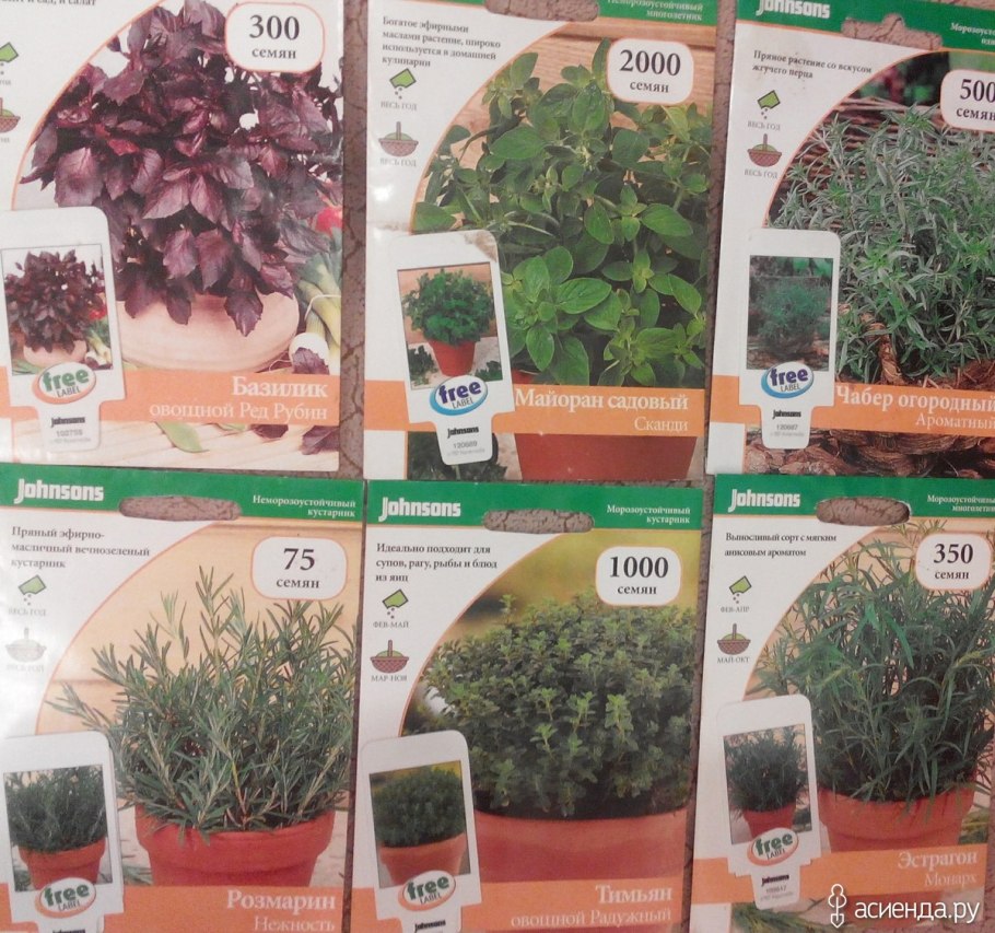 Пряные травы названия