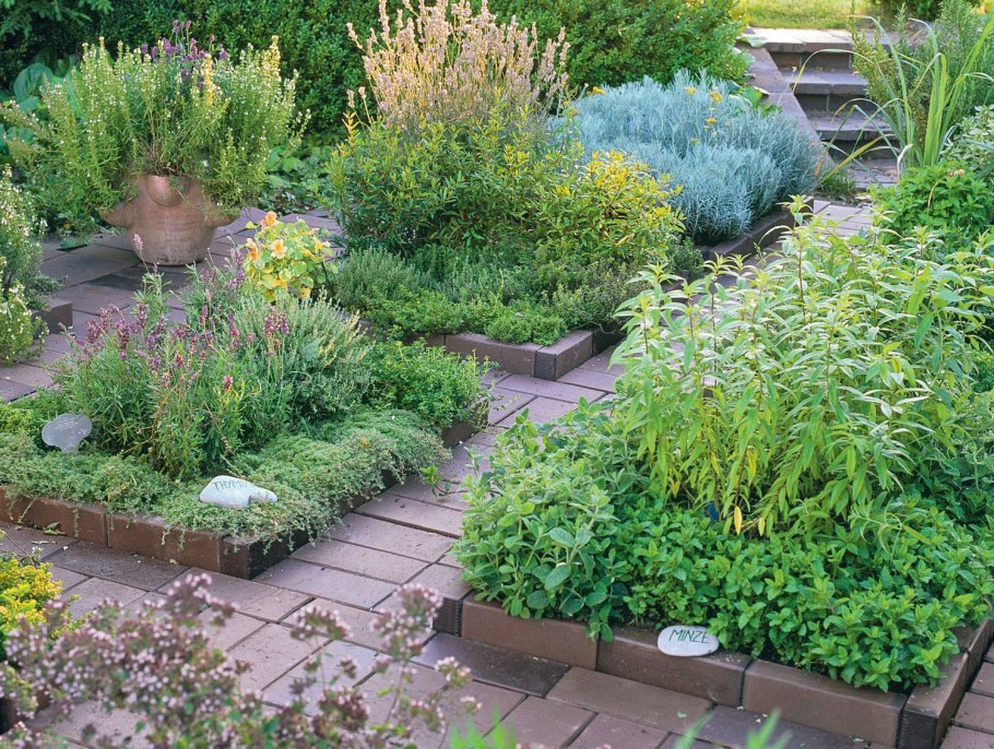 Сад пряных трав и Аптекарский сад