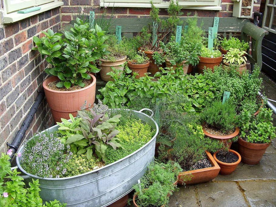 Огородик пряных трав