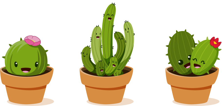 Кактус на прозрачном фоне