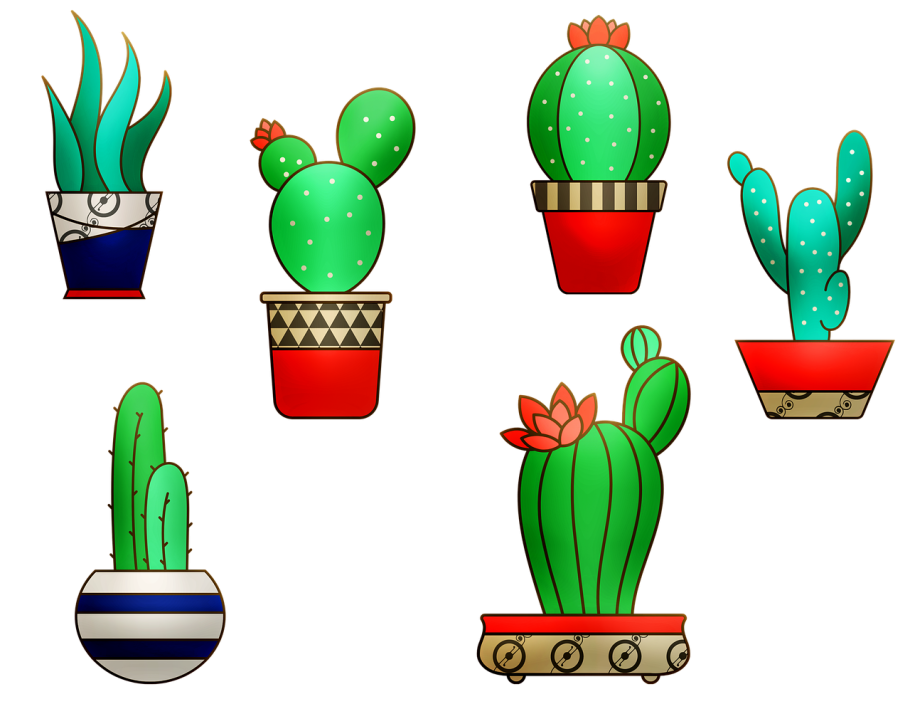 Комнатные растения для вырезывания