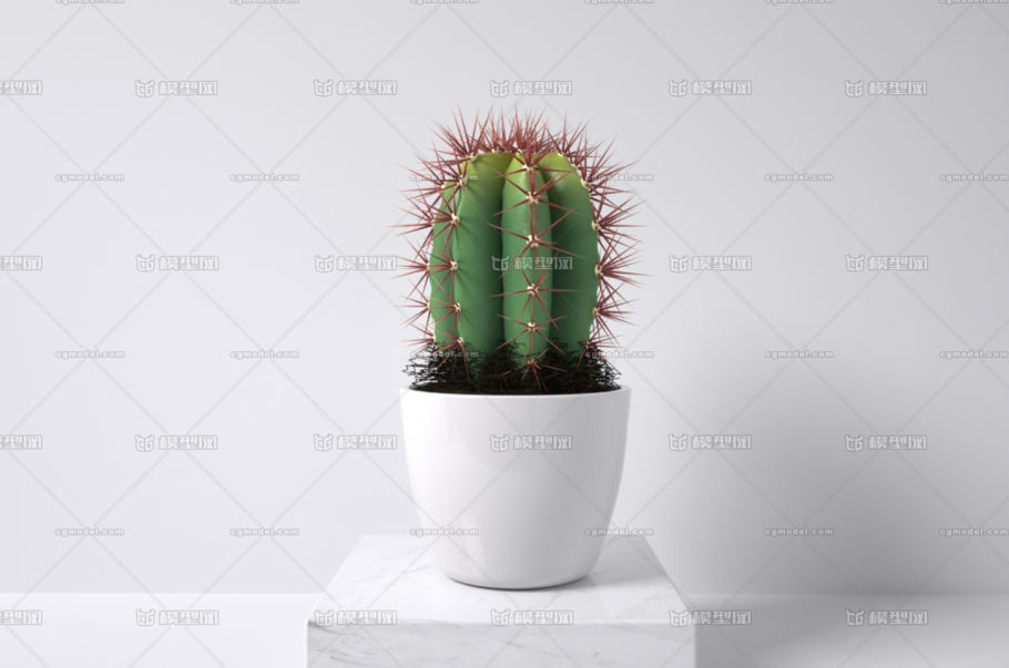 Кактус в 3ds Max