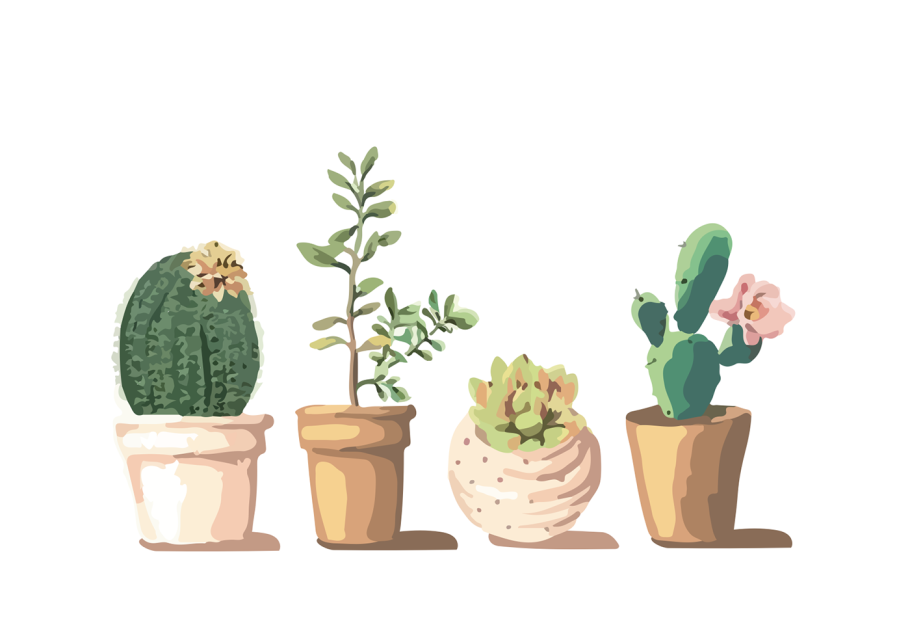 Арты растений в горшках