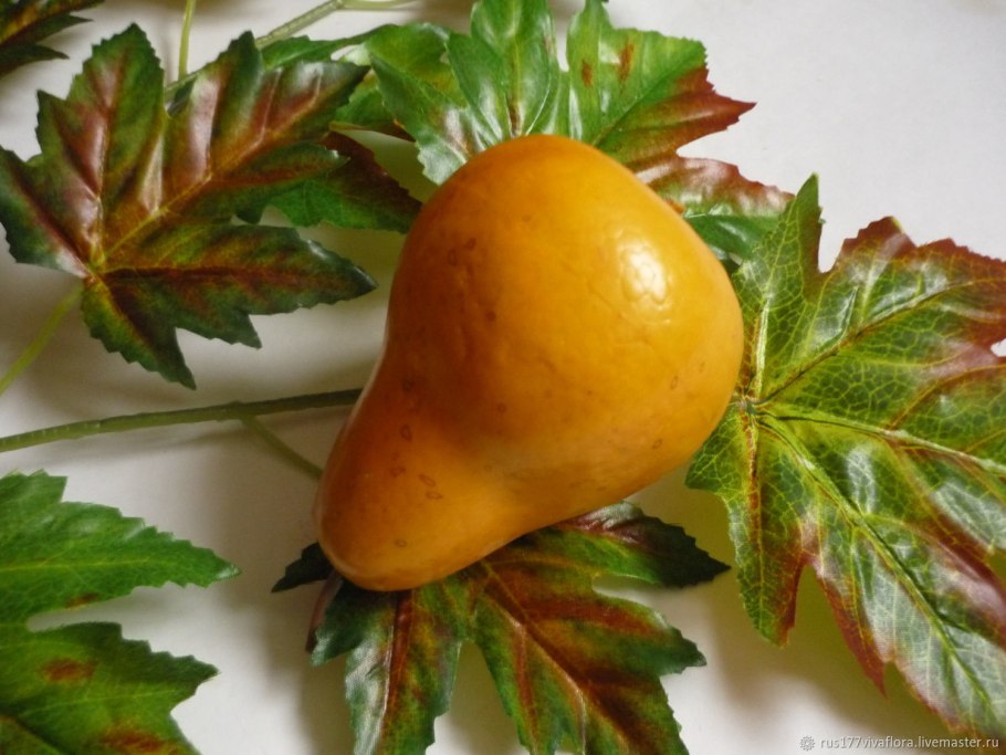 Декоративная груша цветы