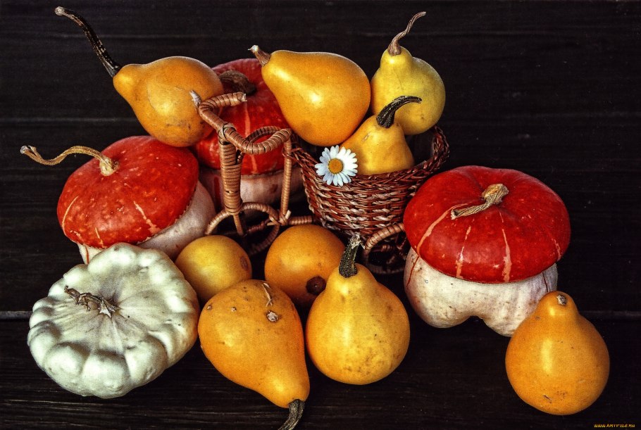 Грушевидная декоративная тыква декоративная грушевидная