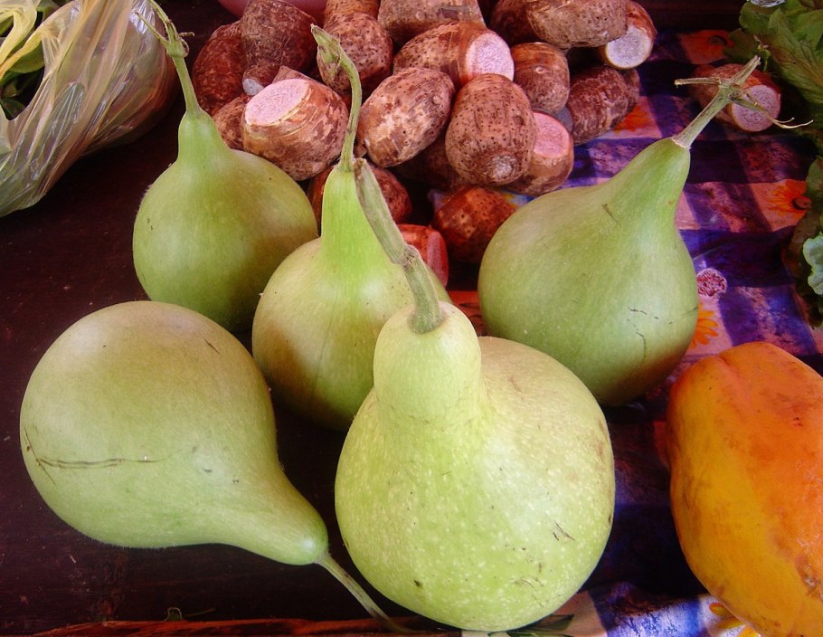 Тыква грушевидной формы