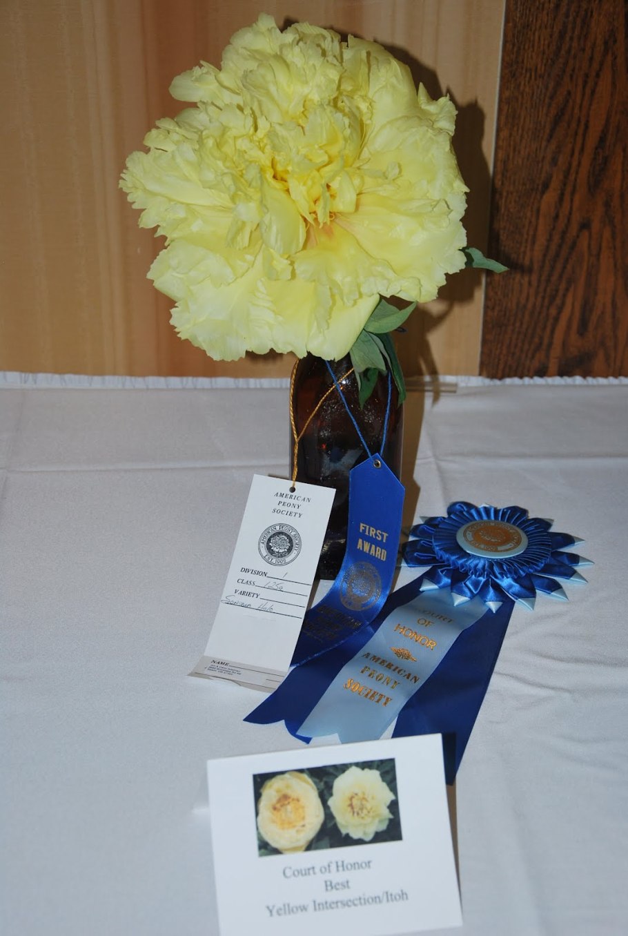 Пион сонома велком