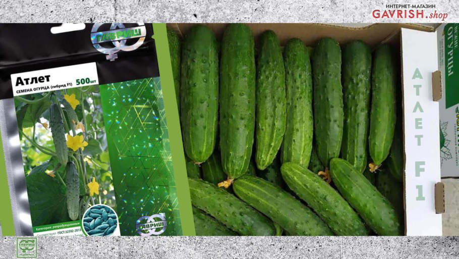 Огурцы Атлет