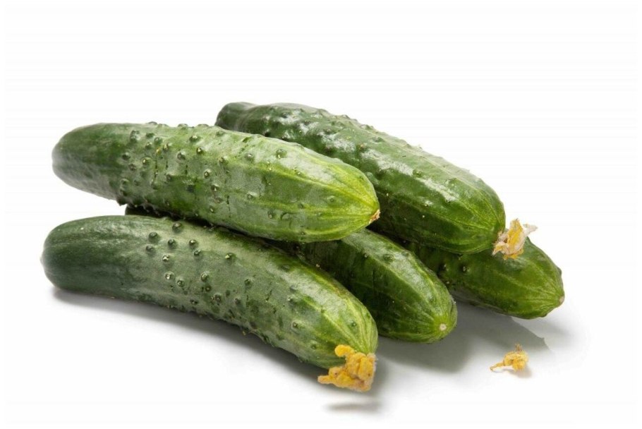 Огурцы Гавриш сорта