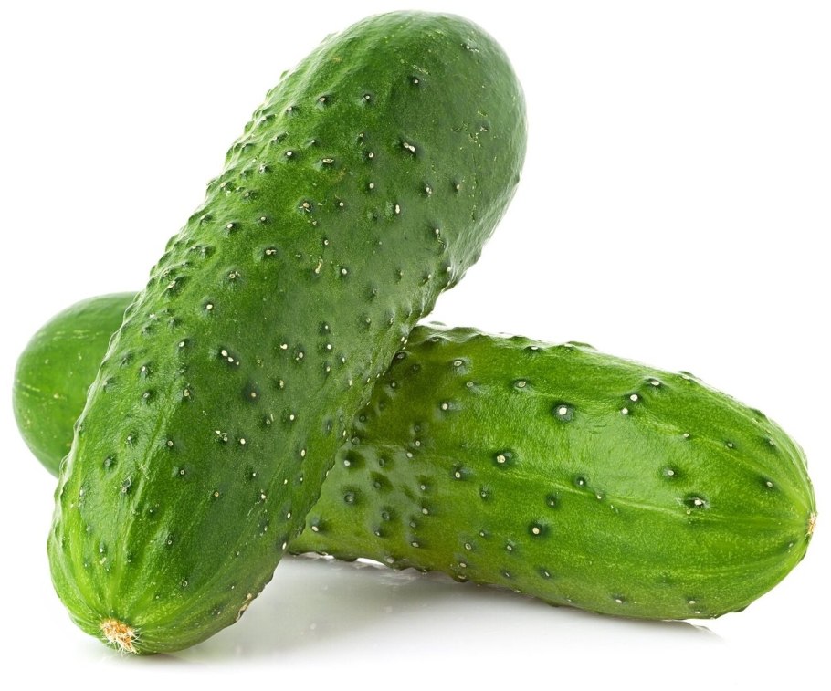 Огурцы Атлет урожай на окне