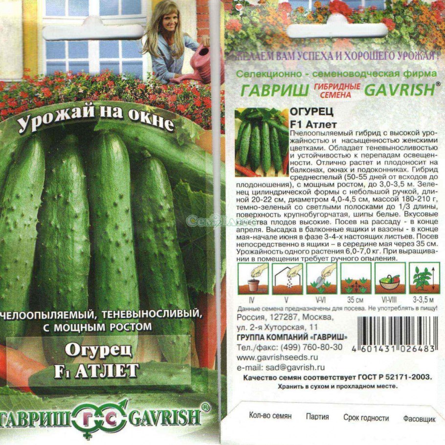 Огурец Атлет Гавриш